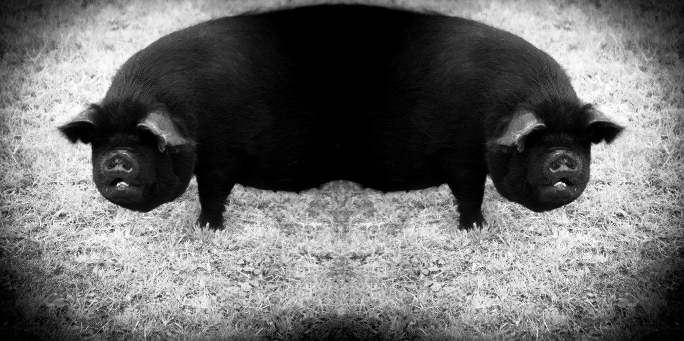 Stephen Perry - Kune